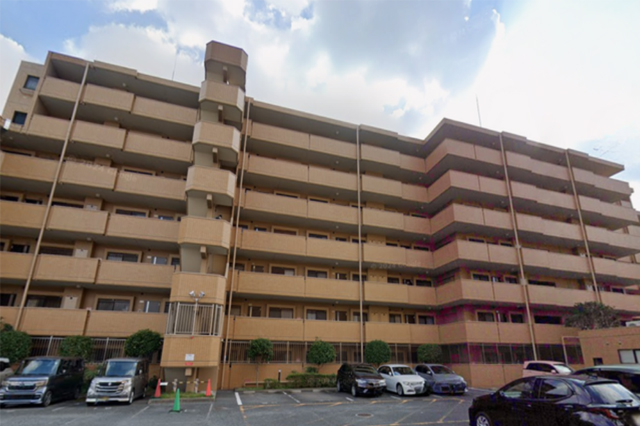 ダイアパレス大橋南弐番館